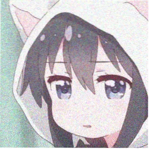 导演头像